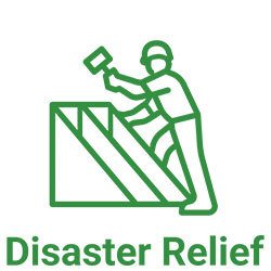 Disaster Icon